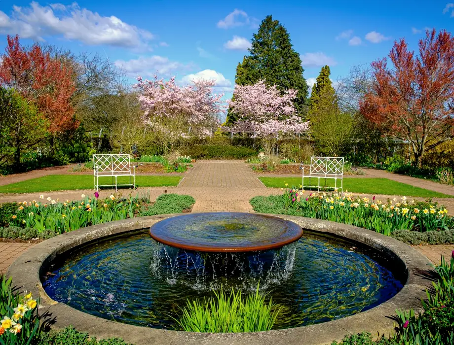A garden fountain framed by spring blossom