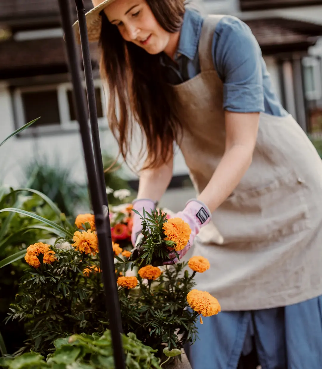 A gardener tending young plants in a garden bed